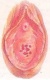 Amho3 500 x 808